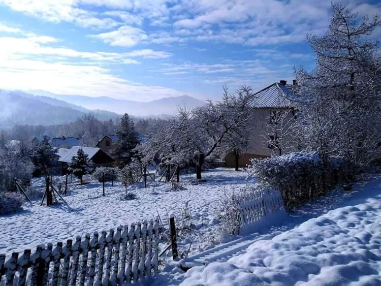 Tuni Holiday home *