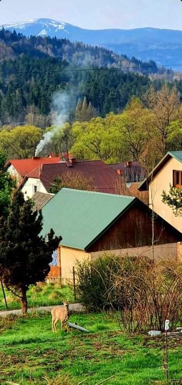 Tuni Holiday home *